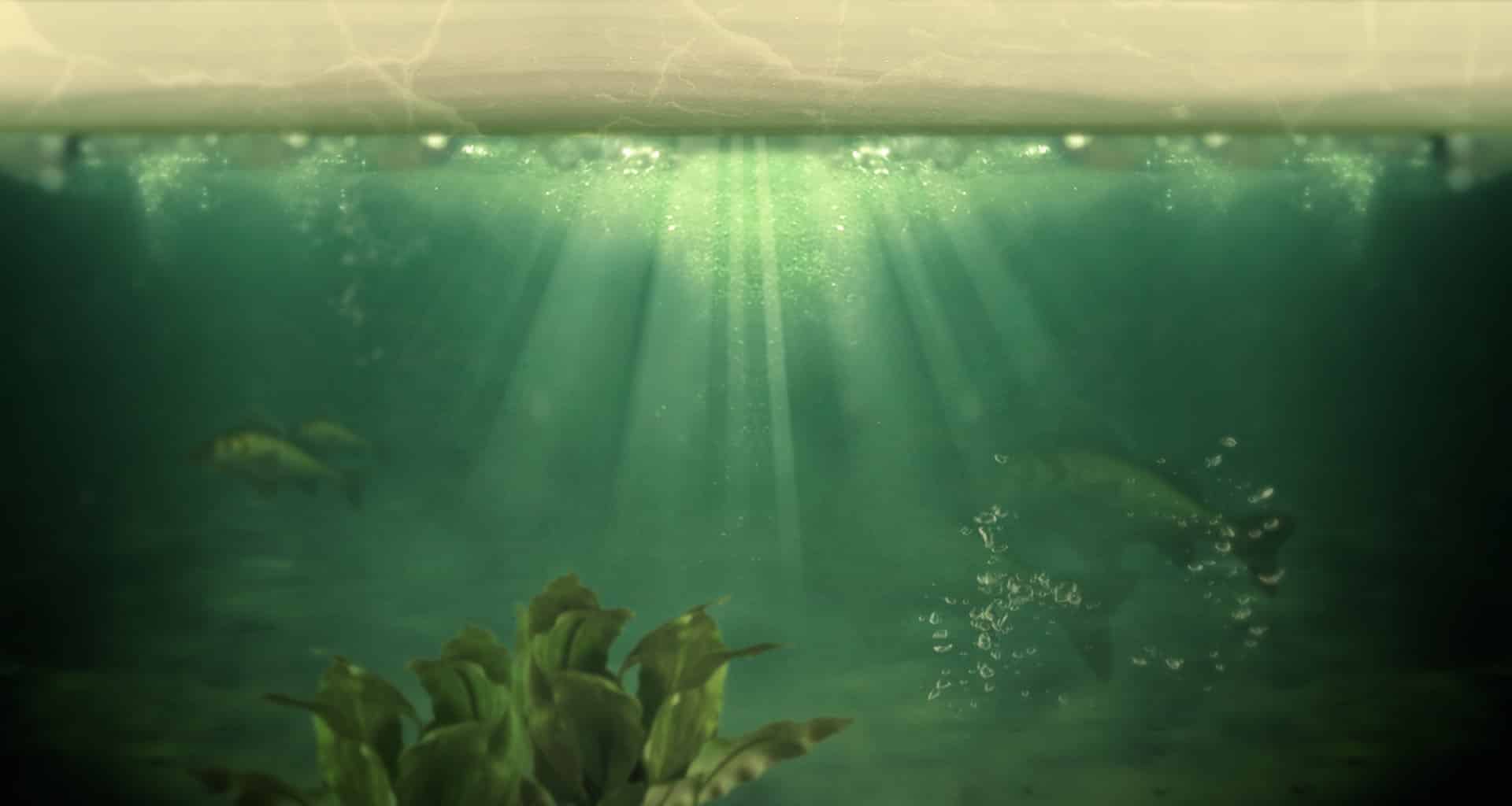 parallax layer