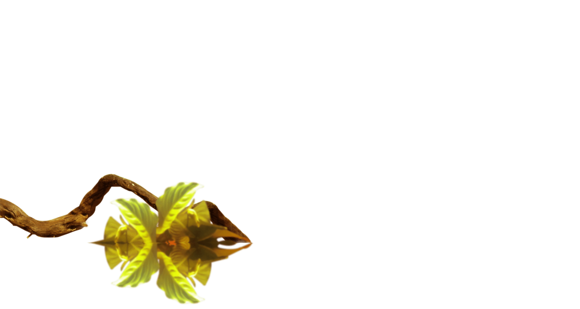 parallax layer
