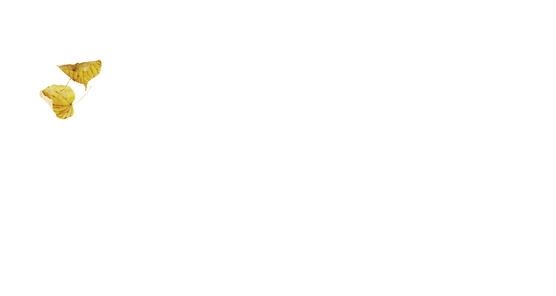 parallax layer