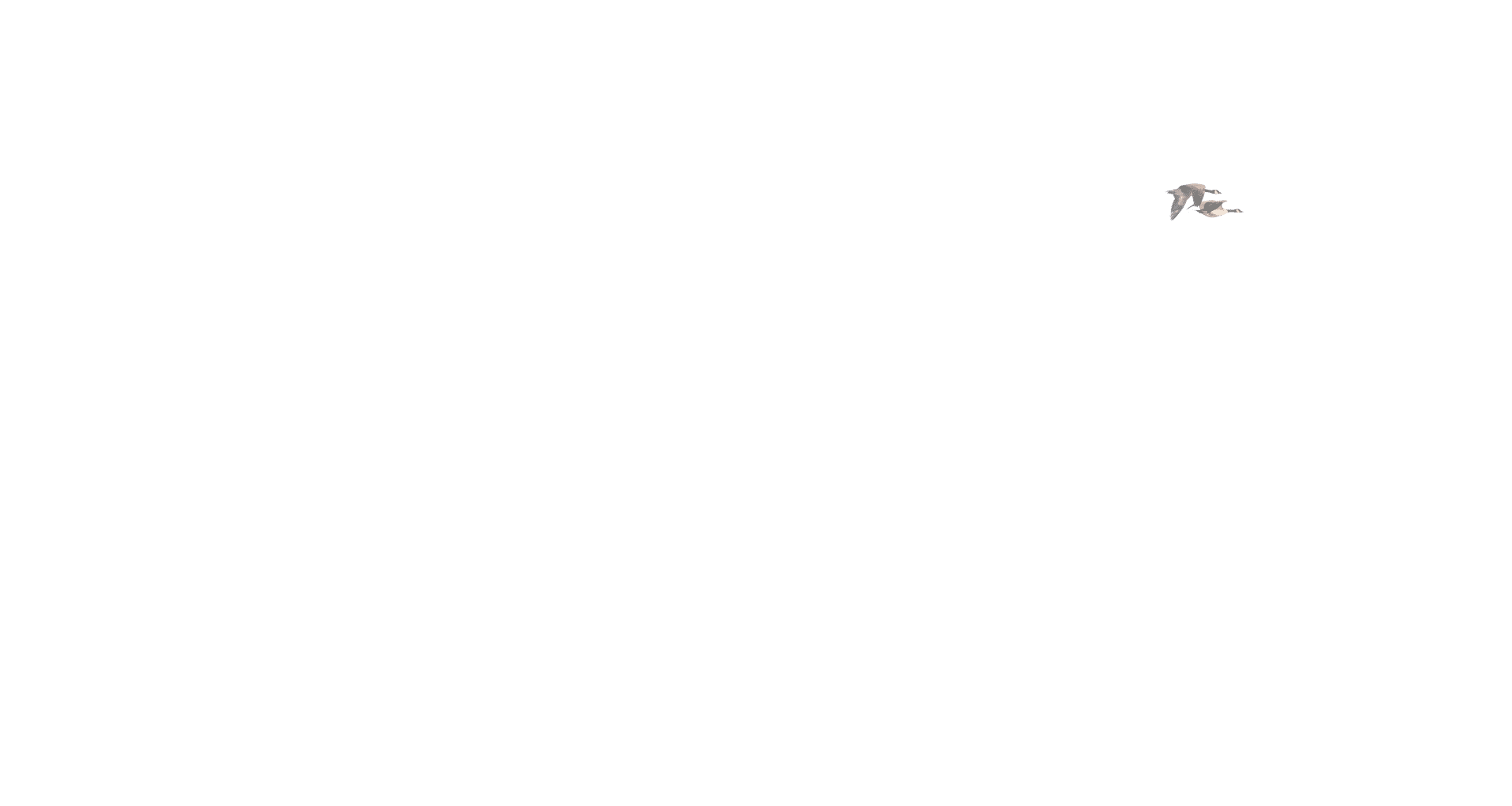 parallax layer