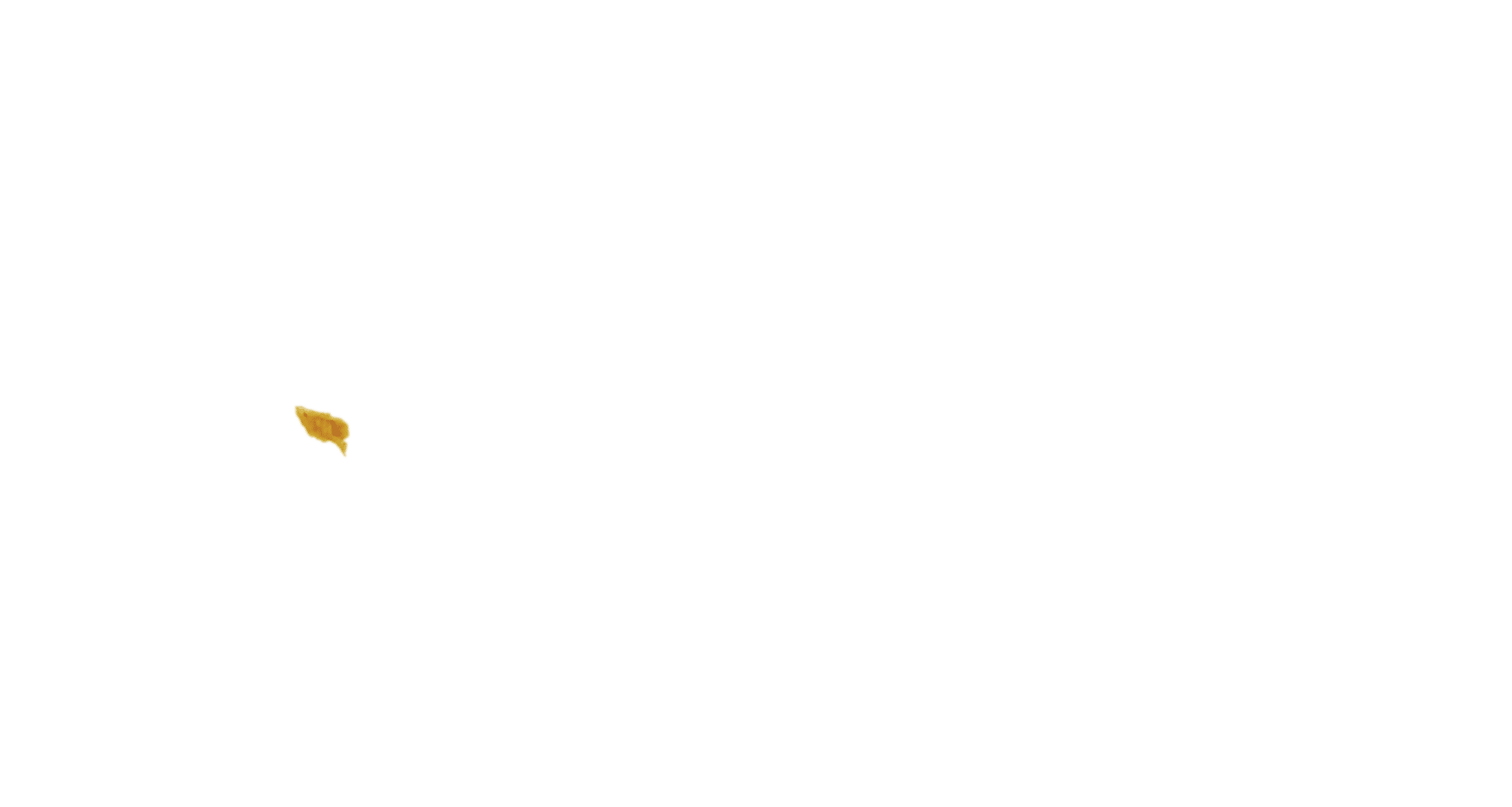 parallax layer