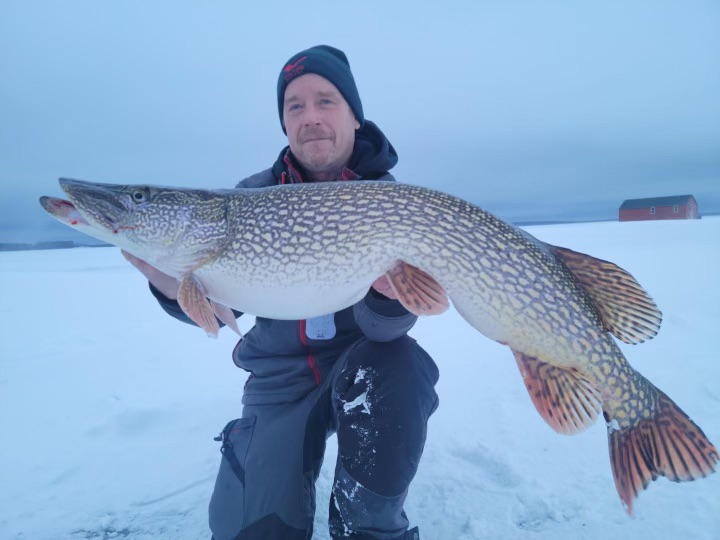 Lake of the Woods MN Fishing Report 1/23